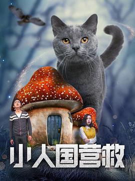 草久在线视频