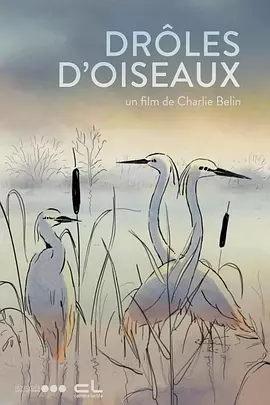 芙宁娜被旅行者导管