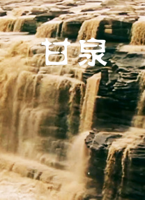 精品久久久久不卡无毒